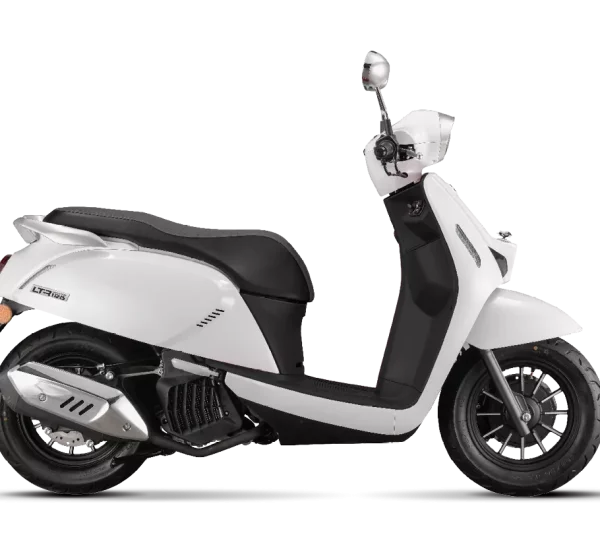 LTR-125-Blanc-1202x849-noir-1202x849-c-default